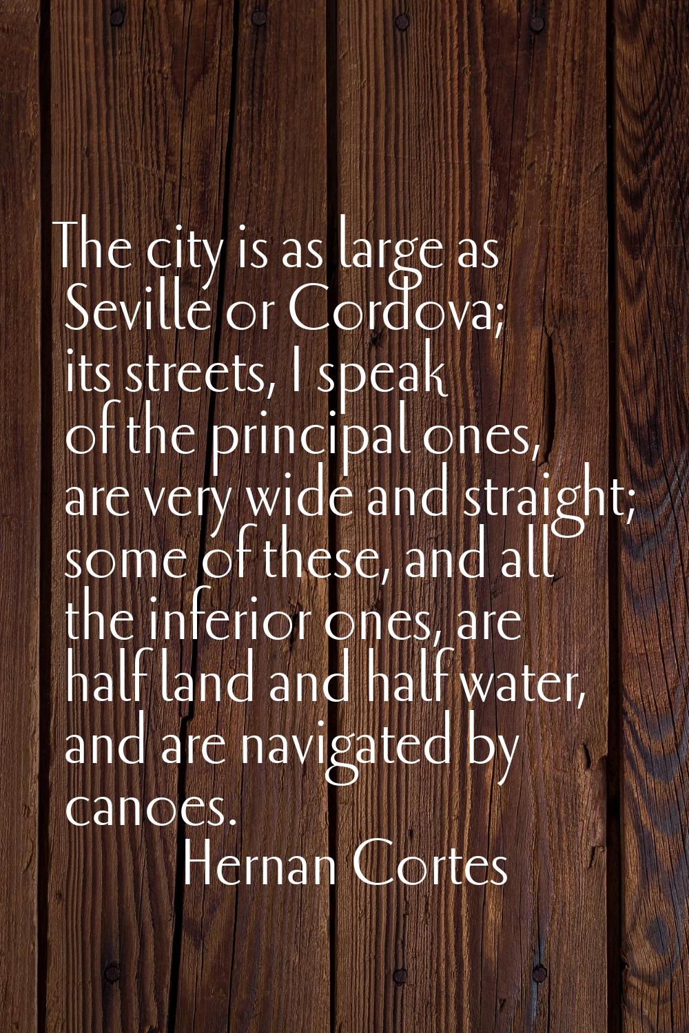 The city is as large as Seville or Cordova; its streets, I speak of the principal ones, are very wi