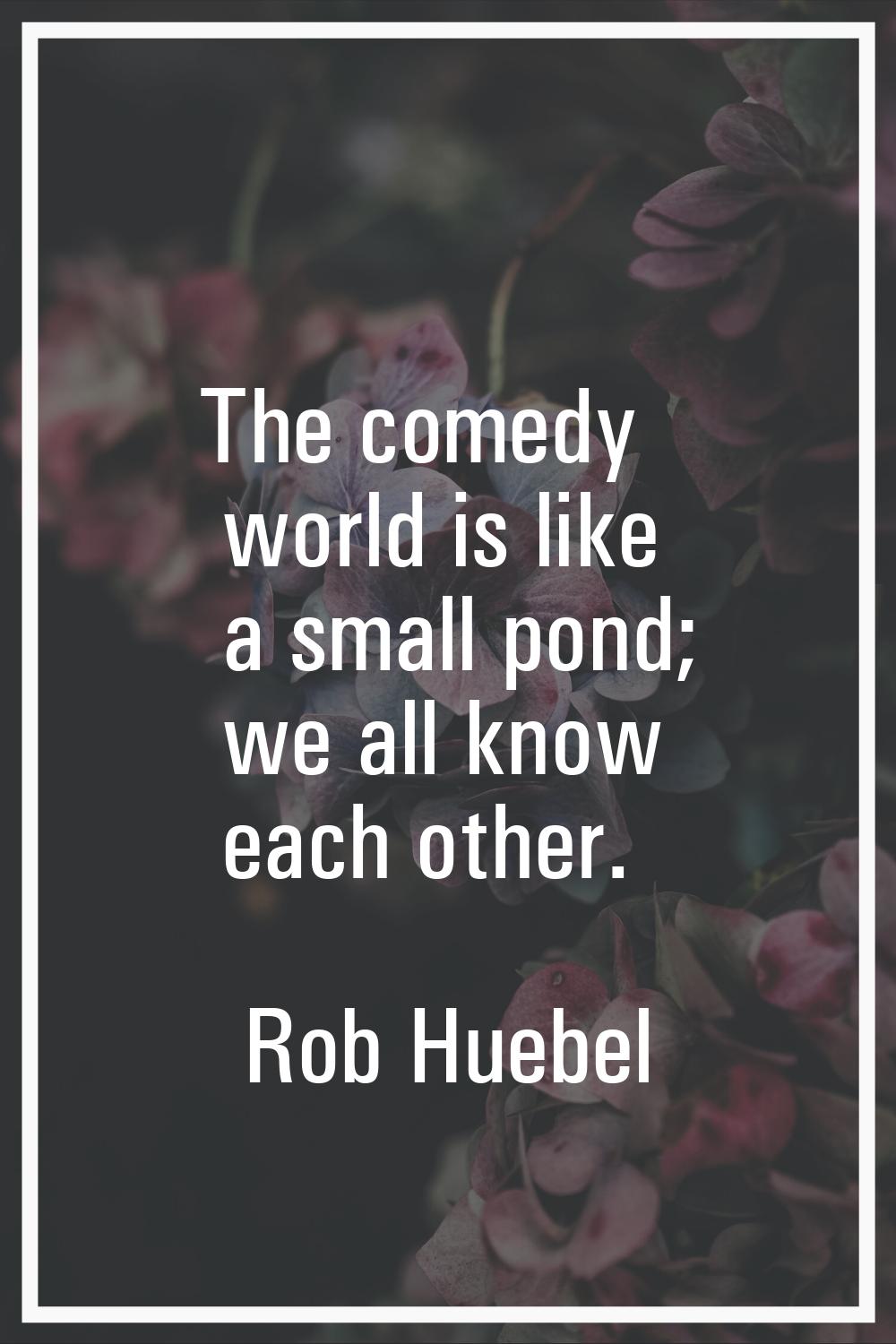 The comedy world is like a small pond; we all know each other.
