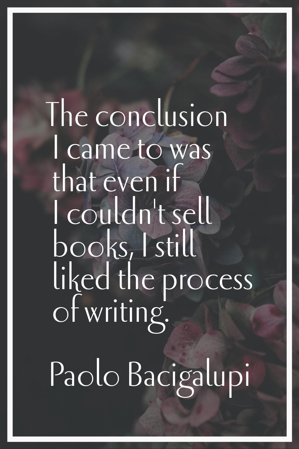 The conclusion I came to was that even if I couldn't sell books, I still liked the process of writi