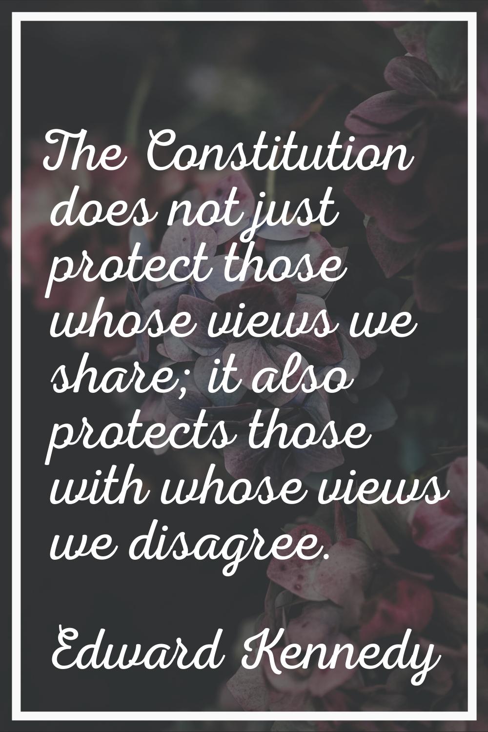 The Constitution does not just protect those whose views we share; it also protects those with whos