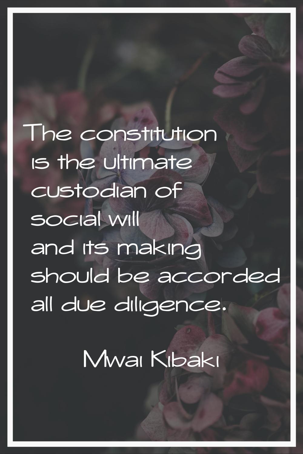The constitution is the ultimate custodian of social will and its making should be accorded all due