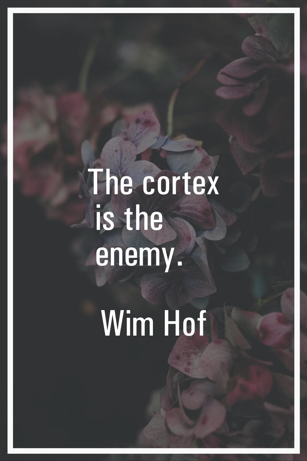 The cortex is the enemy.
