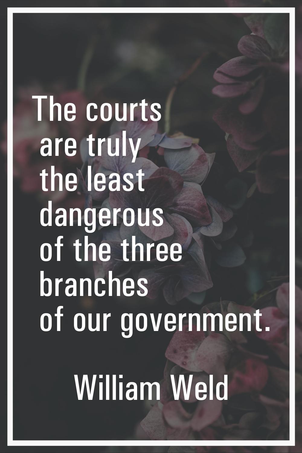 The courts are truly the least dangerous of the three branches of our government.