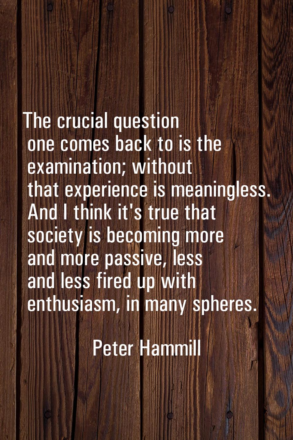 The crucial question one comes back to is the examination; without that experience is meaningless. 