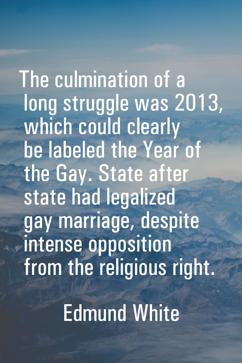 The culmination of a long struggle was 2013, which could clearly be labeled the Year of the Gay. St