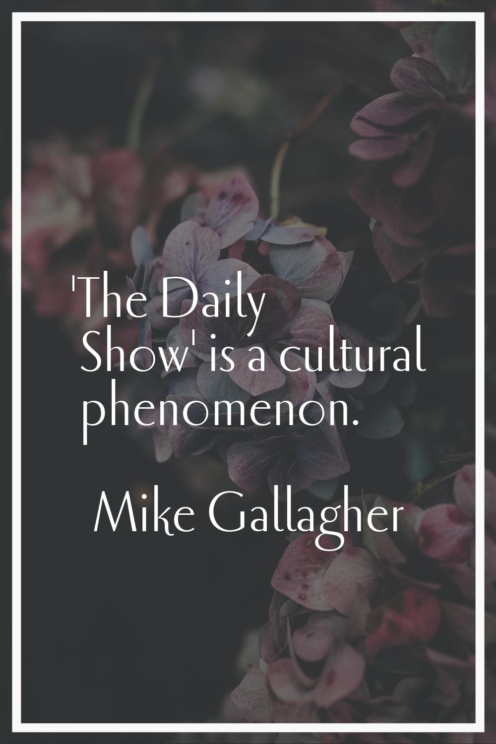 'The Daily Show' is a cultural phenomenon.