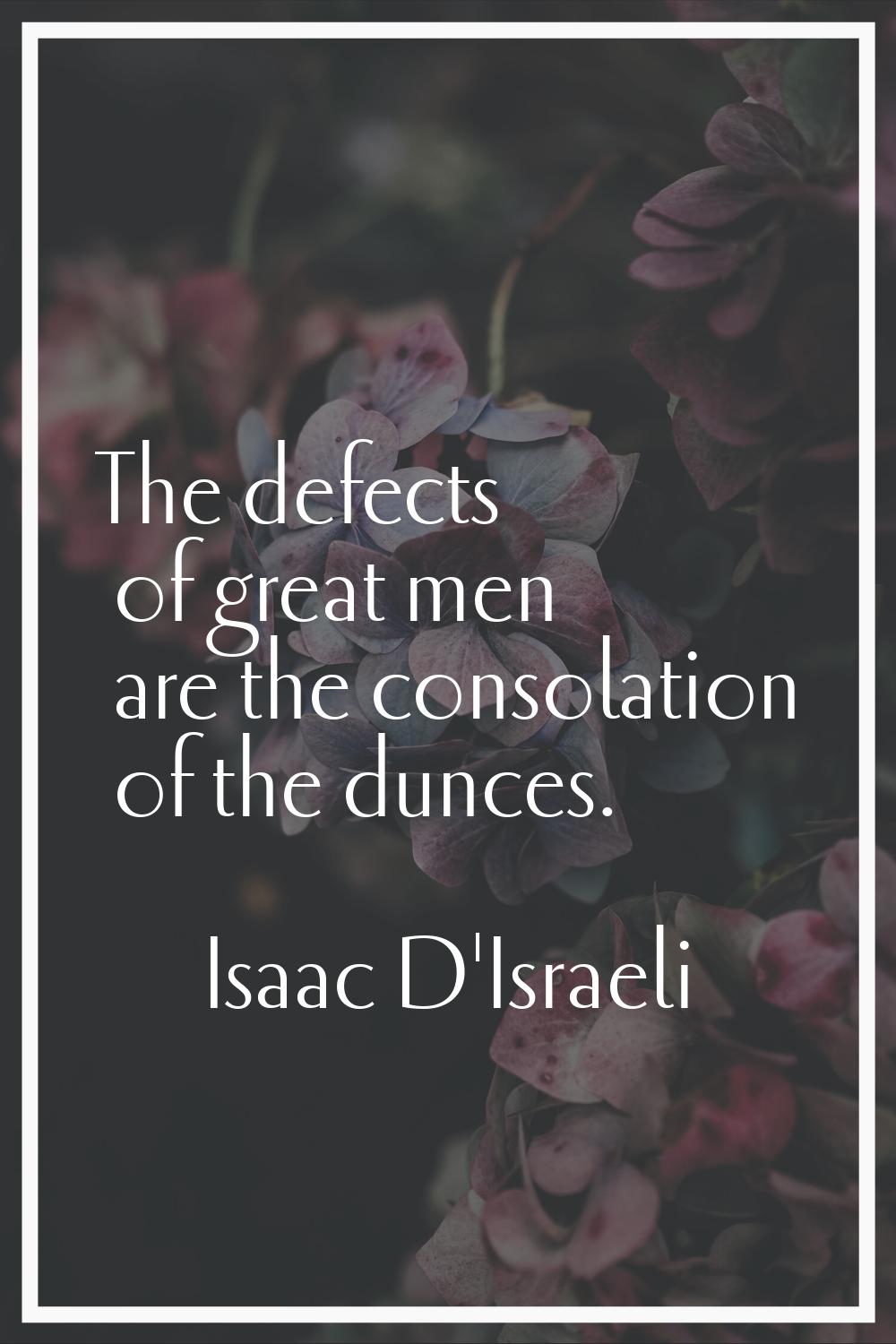 The defects of great men are the consolation of the dunces.