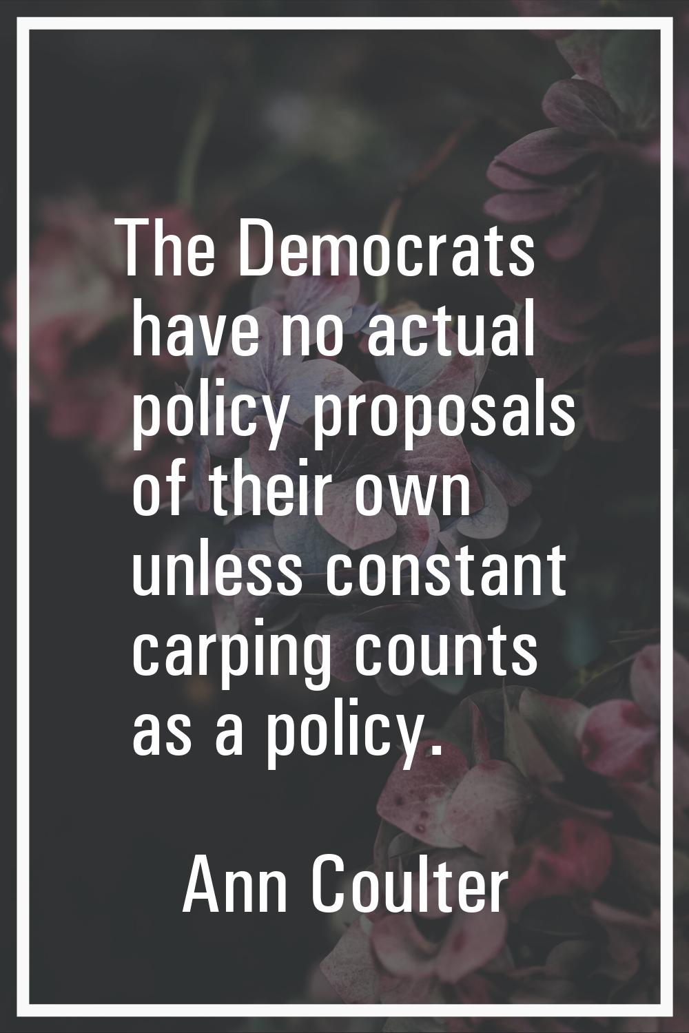 The Democrats have no actual policy proposals of their own unless constant carping counts as a poli