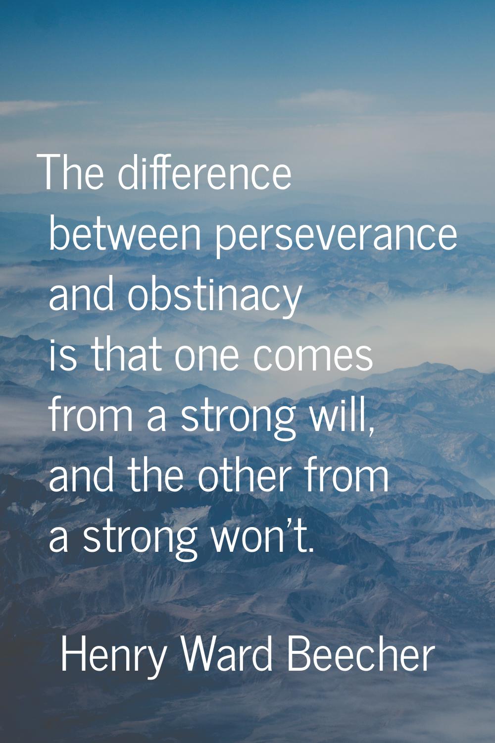 The difference between perseverance and obstinacy is that one comes from a strong will, and the oth