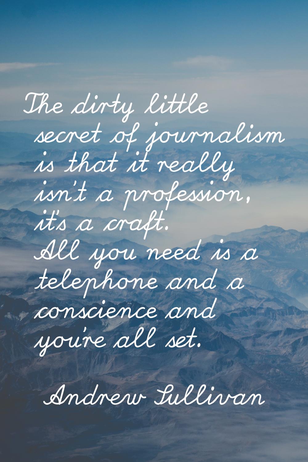 The dirty little secret of journalism is that it really isn't a profession, it's a craft. All you n