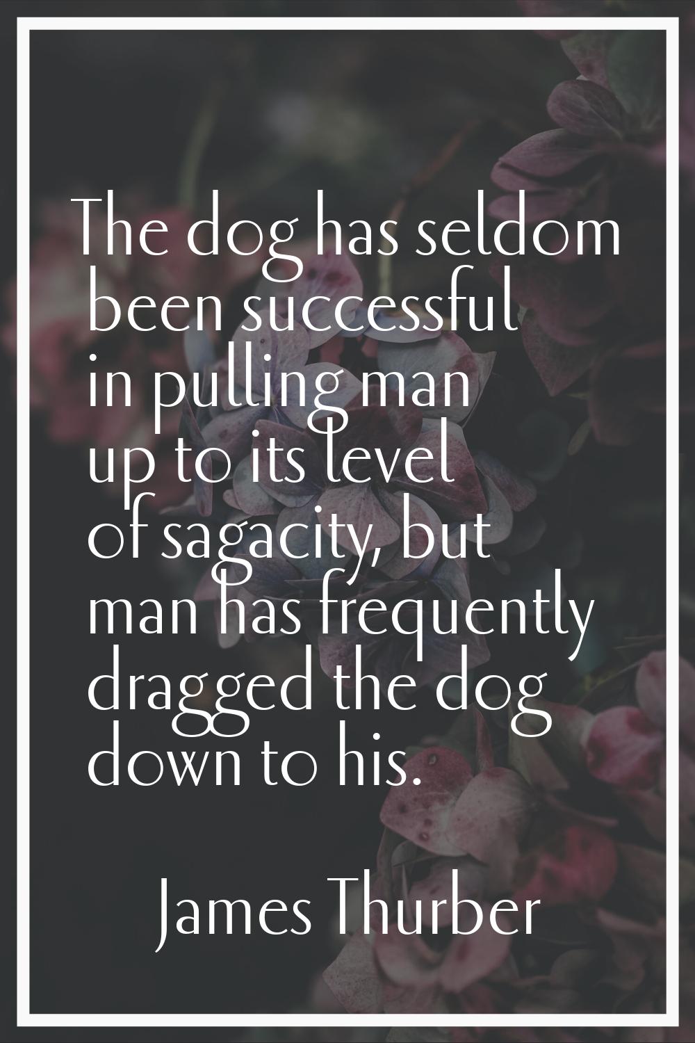 The dog has seldom been successful in pulling man up to its level of sagacity, but man has frequent