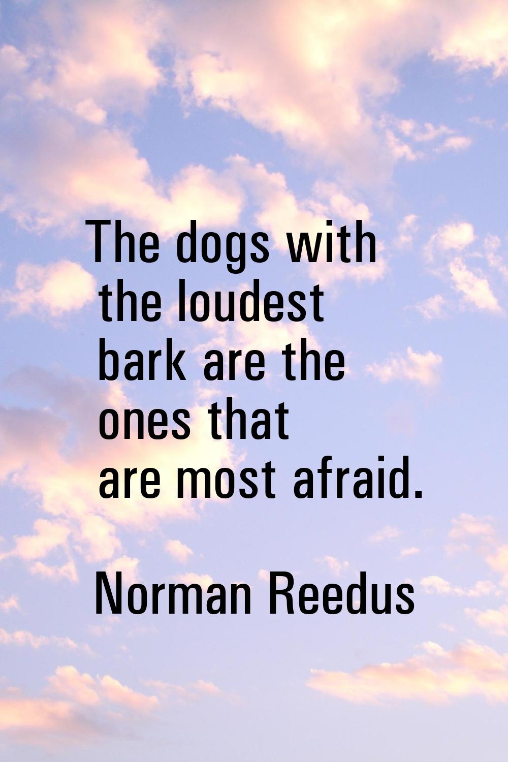 The dogs with the loudest bark are the ones that are most afraid.