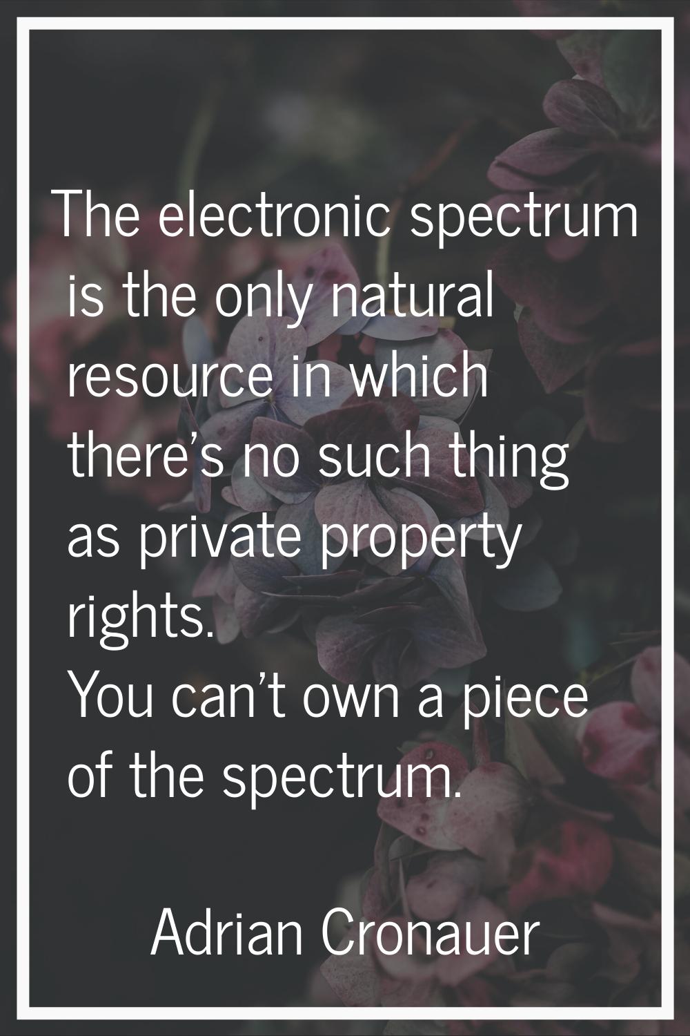 The electronic spectrum is the only natural resource in which there's no such thing as private prop