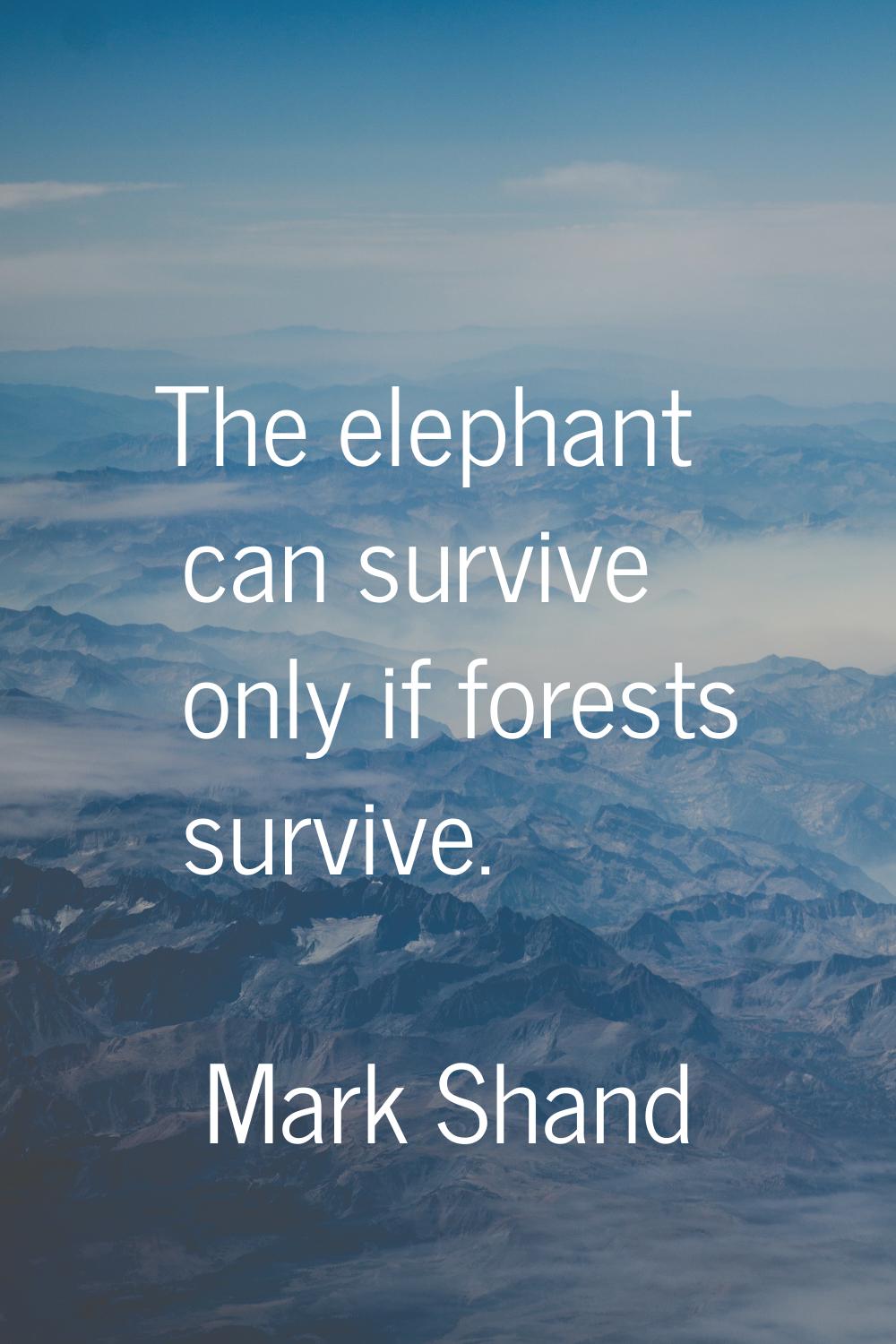 The elephant can survive only if forests survive.