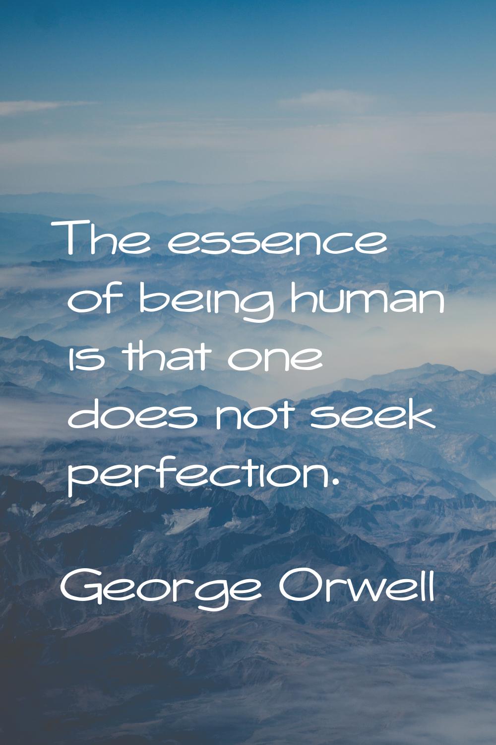 The essence of being human is that one does not seek perfection.