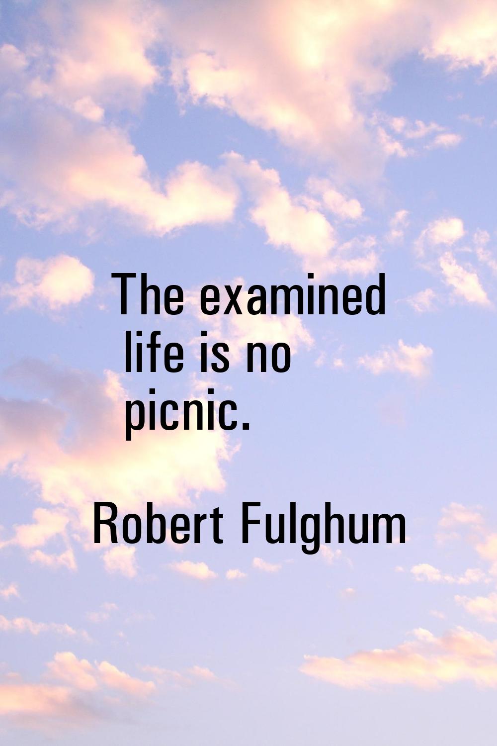 The examined life is no picnic.