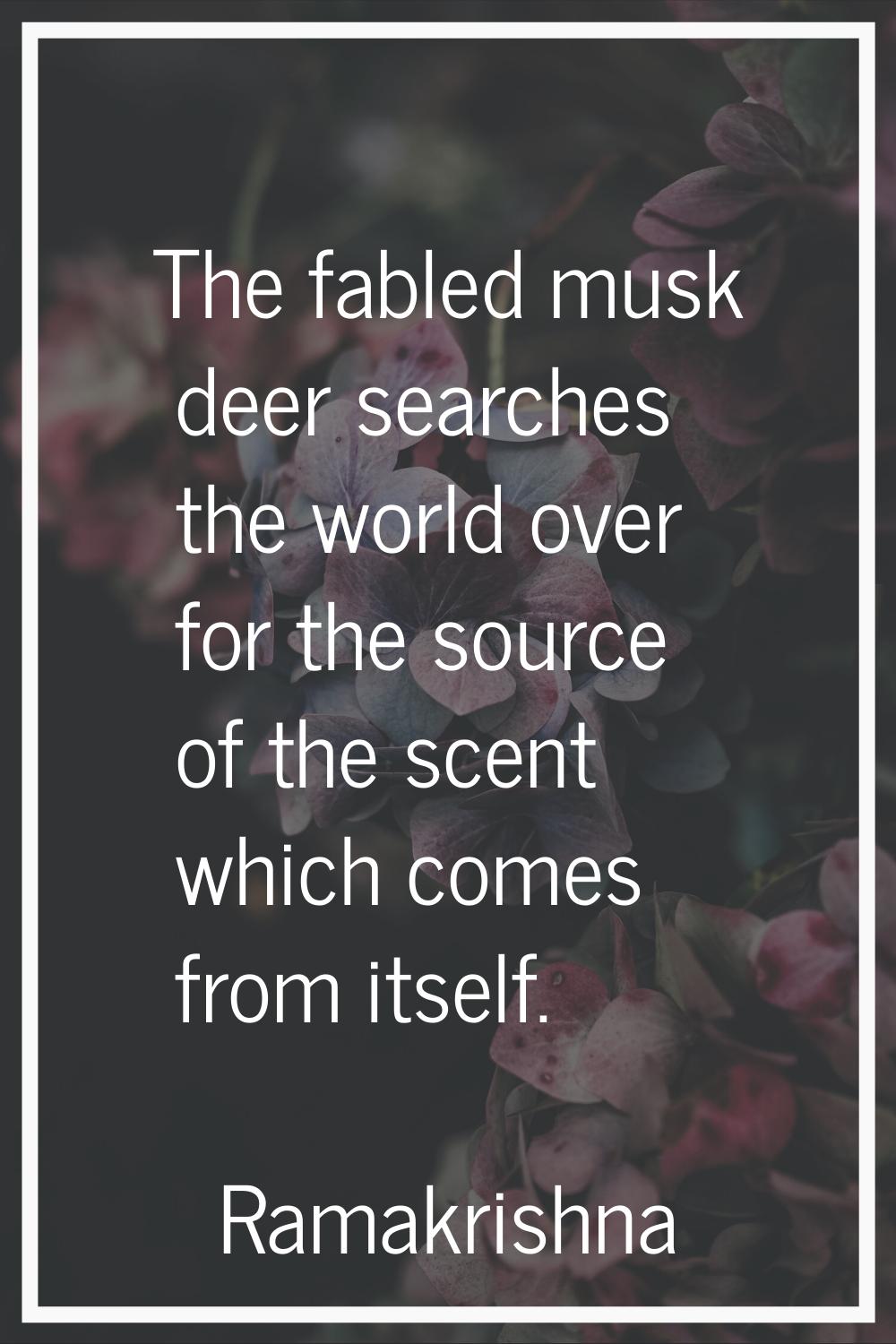 The fabled musk deer searches the world over for the source of the scent which comes from itself.