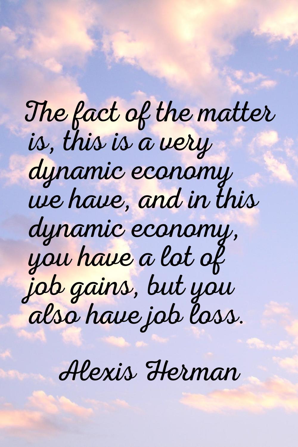 The fact of the matter is, this is a very dynamic economy we have, and in this dynamic economy, you