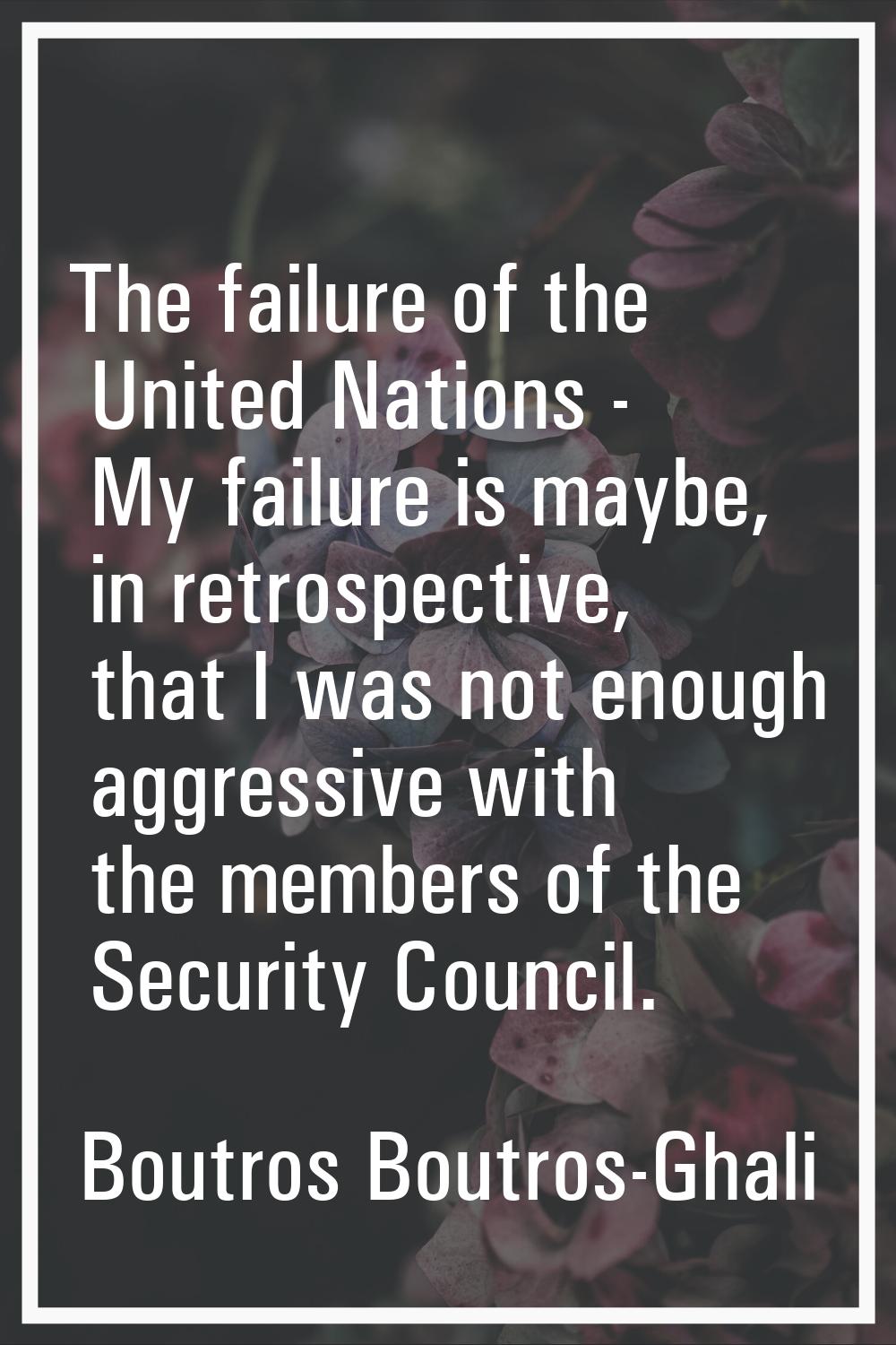 The failure of the United Nations - My failure is maybe, in retrospective, that I was not enough ag