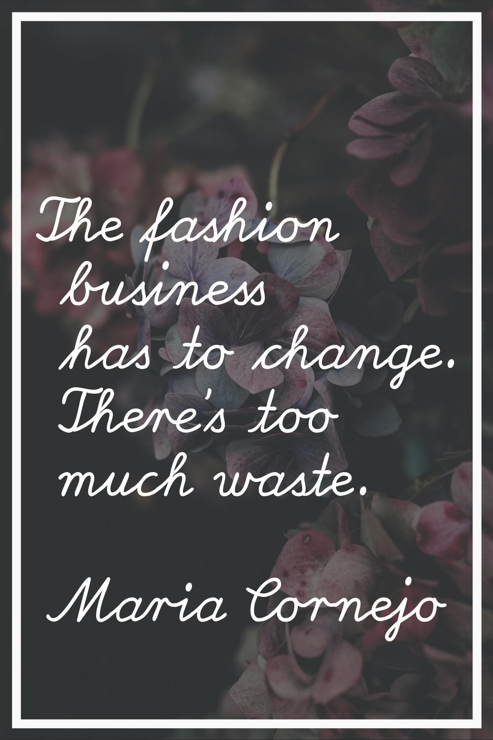 The fashion business has to change. There's too much waste.