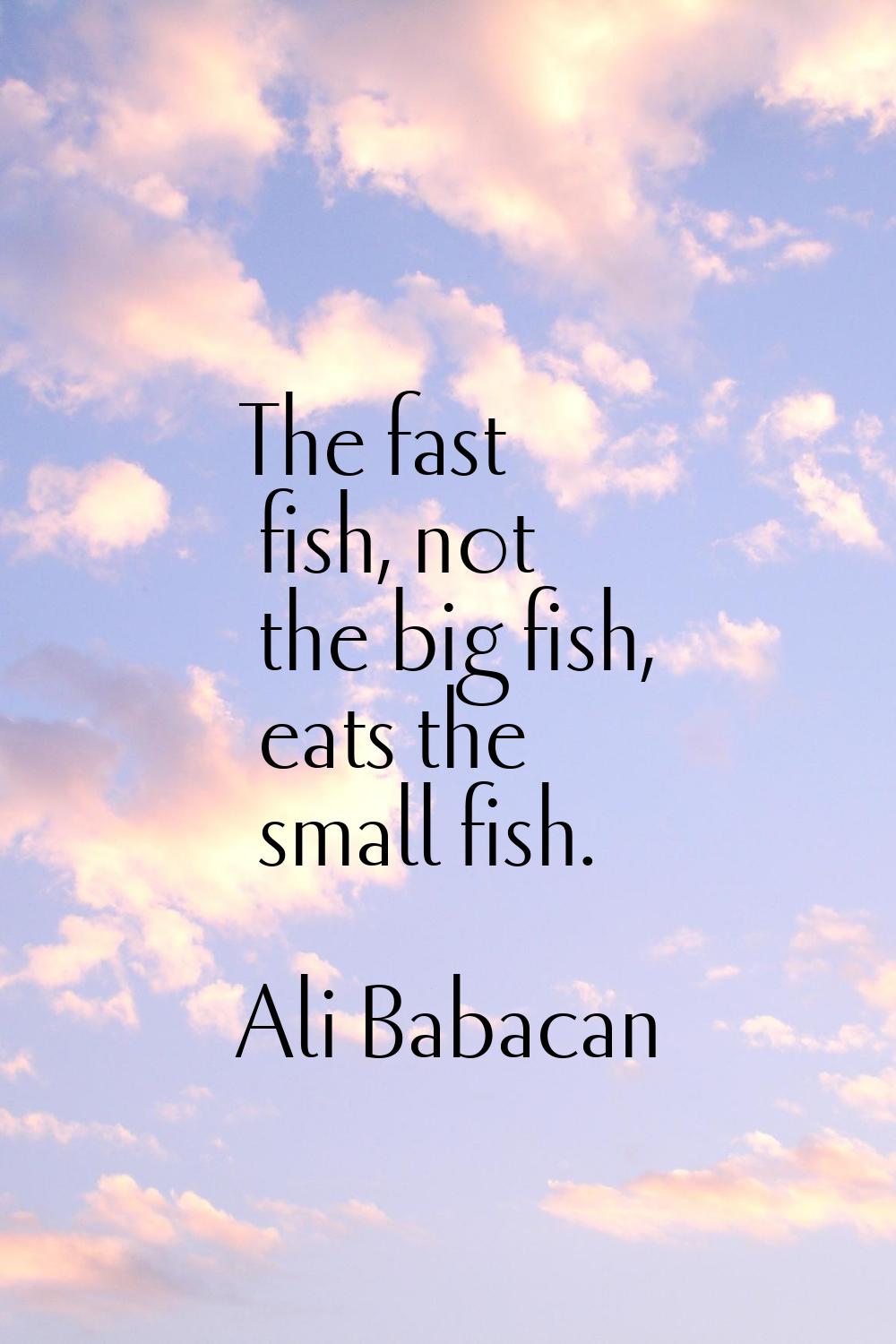 The fast fish, not the big fish, eats the small fish.