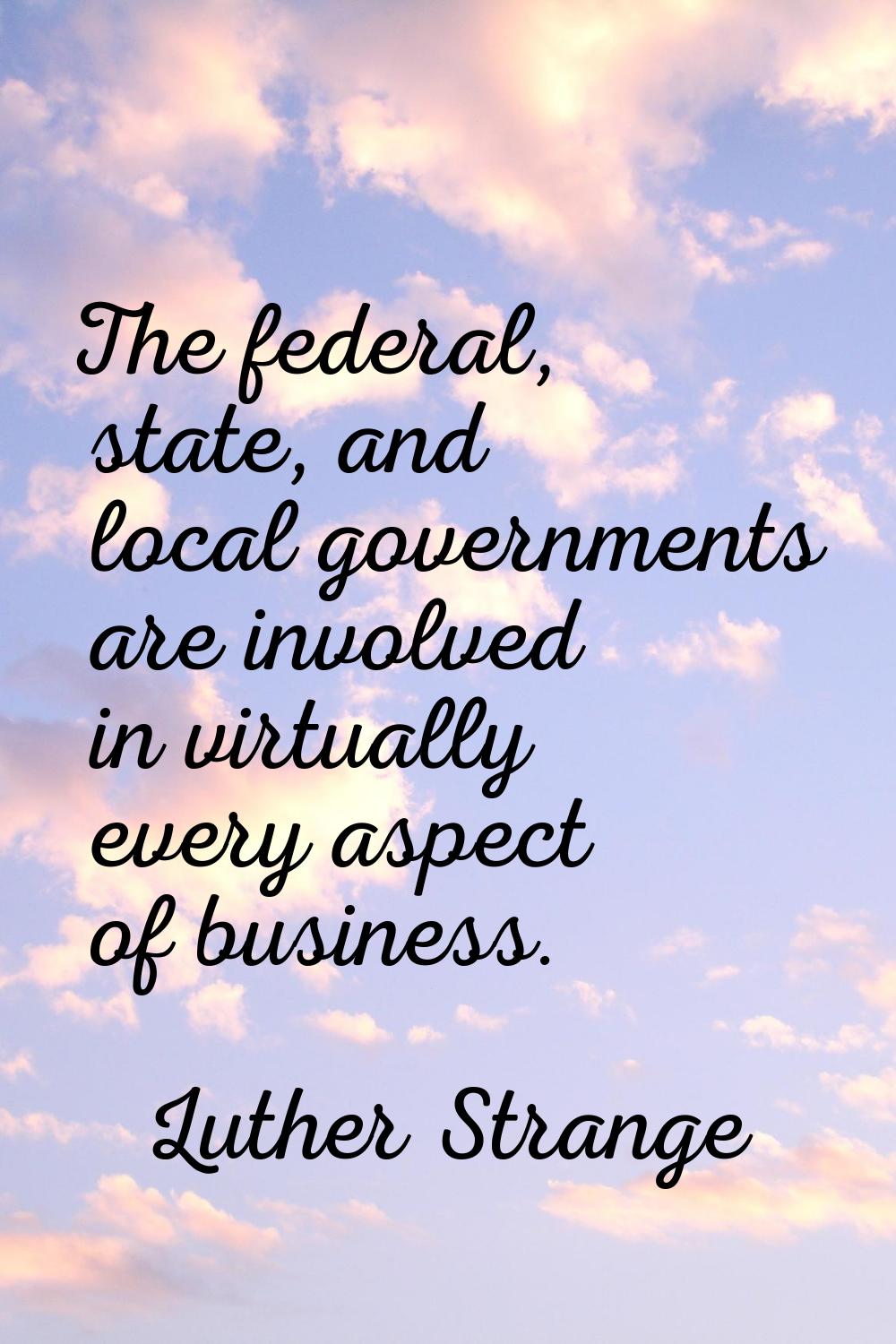 The federal, state, and local governments are involved in virtually every aspect of business.