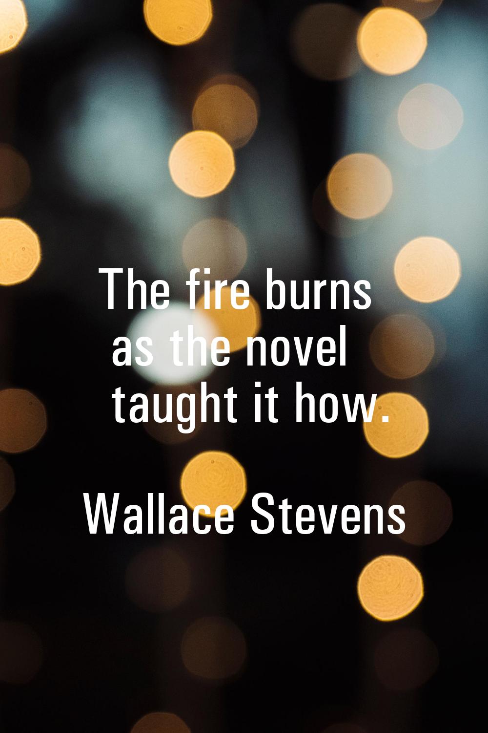 The fire burns as the novel taught it how.