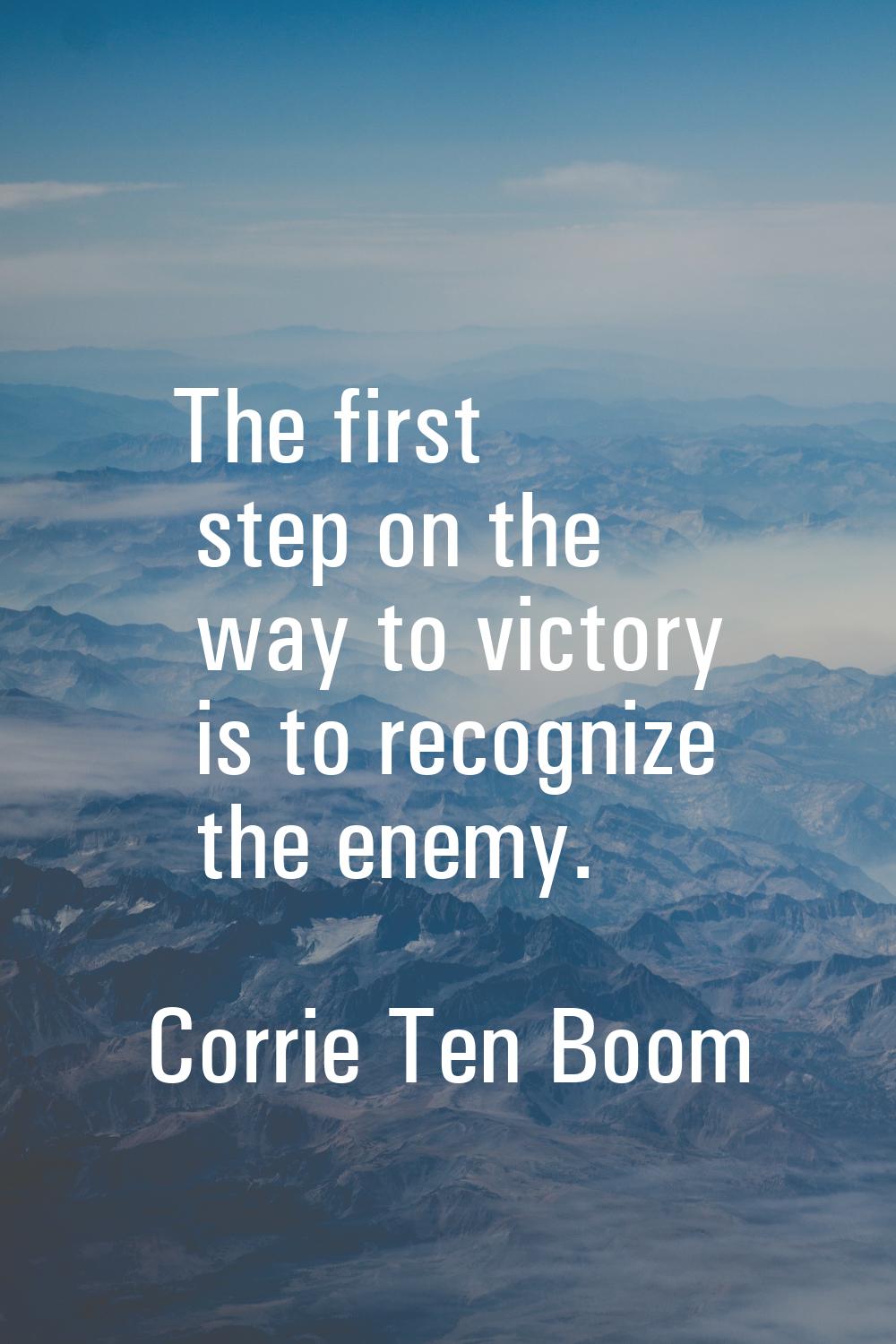 The first step on the way to victory is to recognize the enemy.