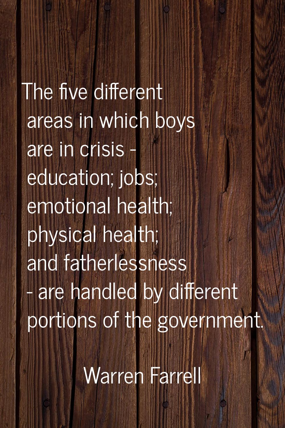 The five different areas in which boys are in crisis - education; jobs; emotional health; physical 
