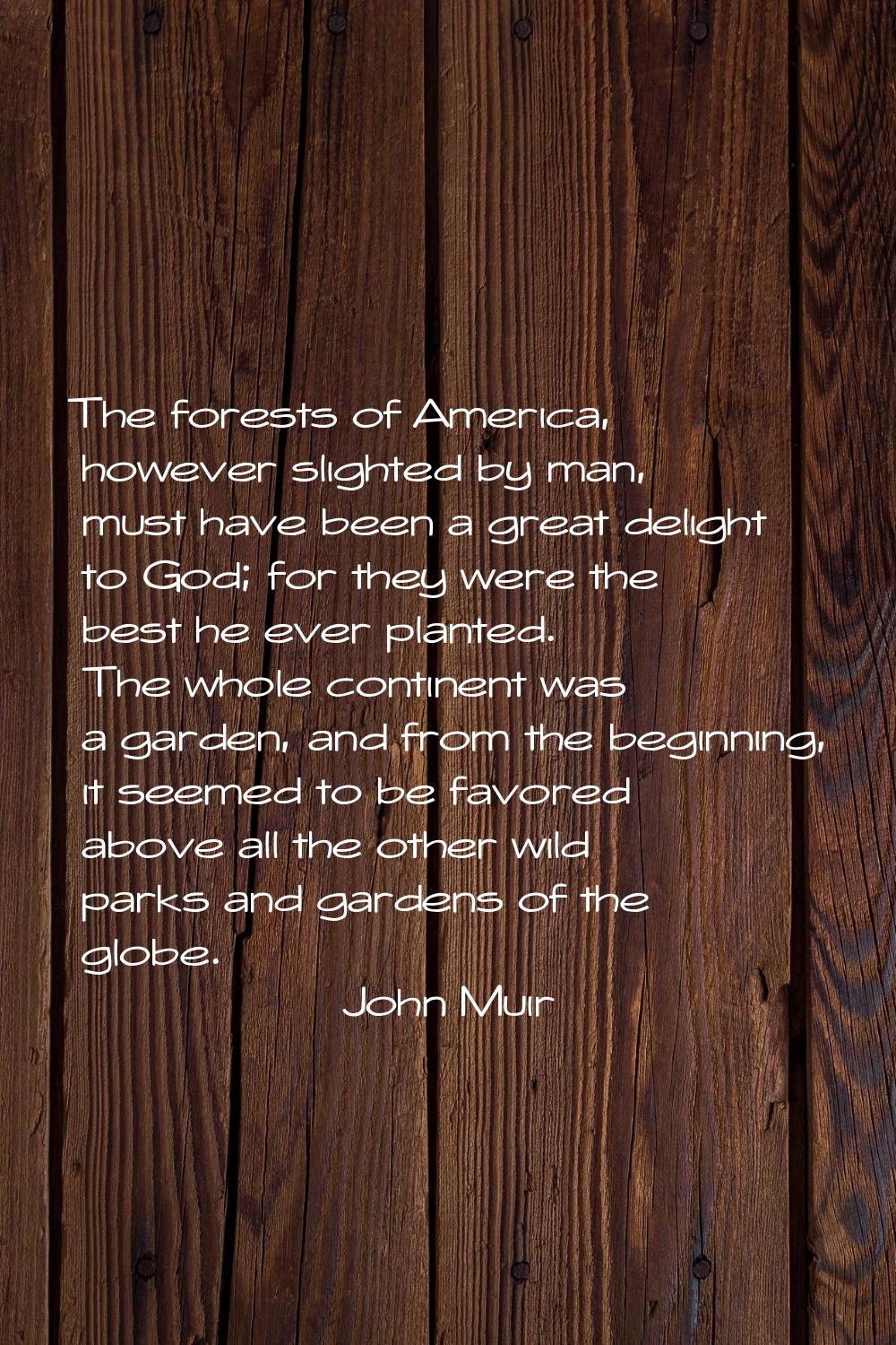 The forests of America, however slighted by man, must have been a great delight to God; for they we