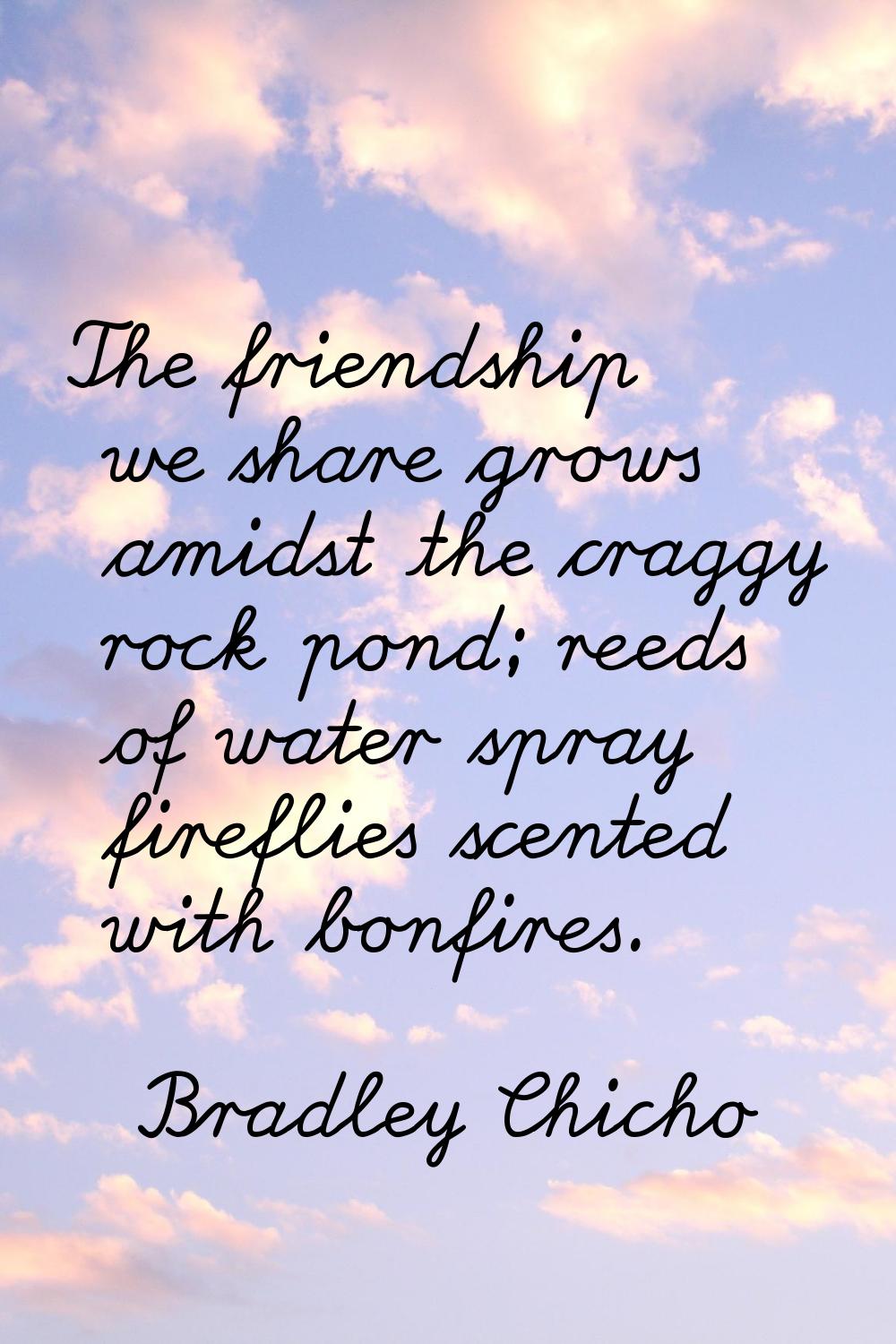 The friendship we share grows amidst the craggy rock pond; reeds of water spray fireflies scented w