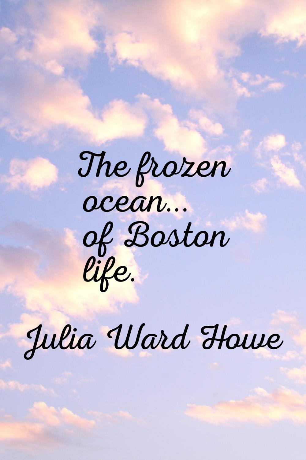 The frozen ocean... of Boston life.
