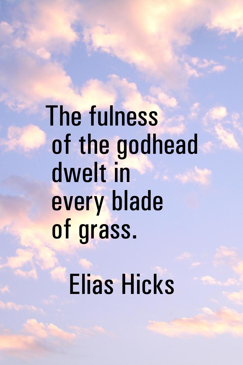 The fulness of the godhead dwelt in every blade of grass.