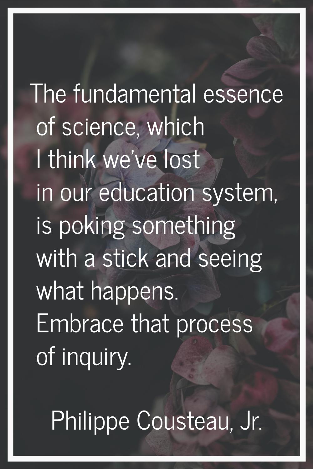 The fundamental essence of science, which I think we've lost in our education system, is poking som