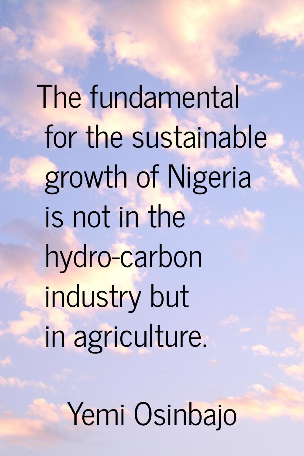 The fundamental for the sustainable growth of Nigeria is not in the hydro-carbon industry but in ag