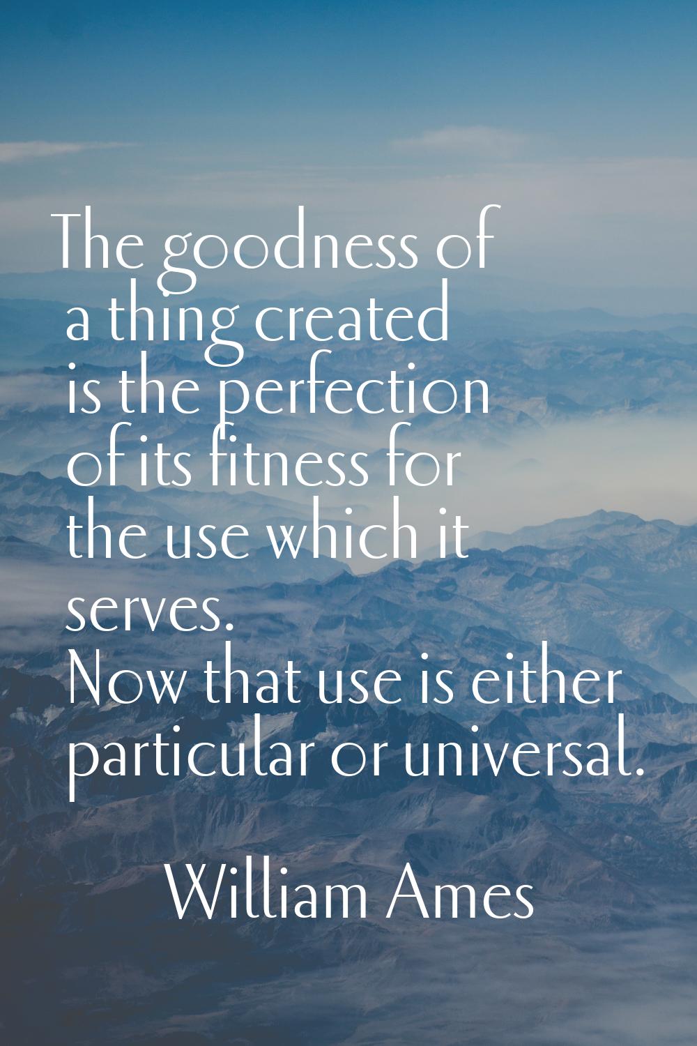 The goodness of a thing created is the perfection of its fitness for the use which it serves. Now t