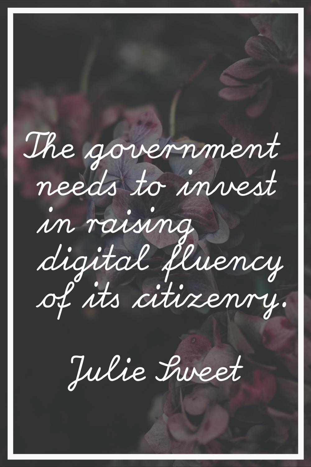 The government needs to invest in raising digital fluency of its citizenry.