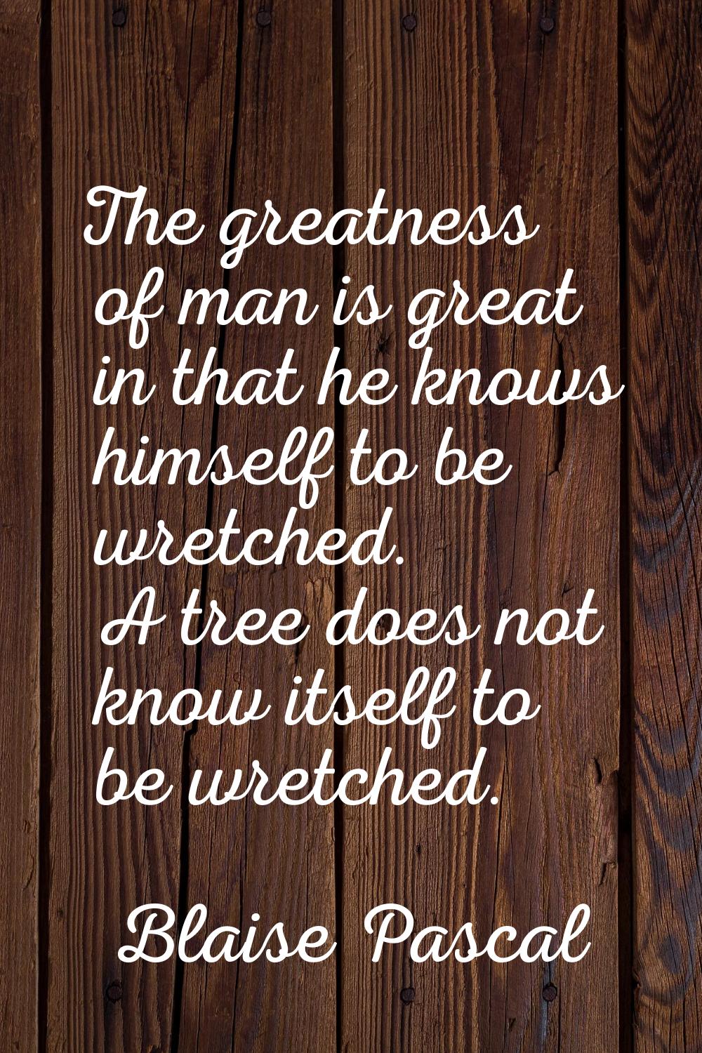The greatness of man is great in that he knows himself to be wretched. A tree does not know itself 