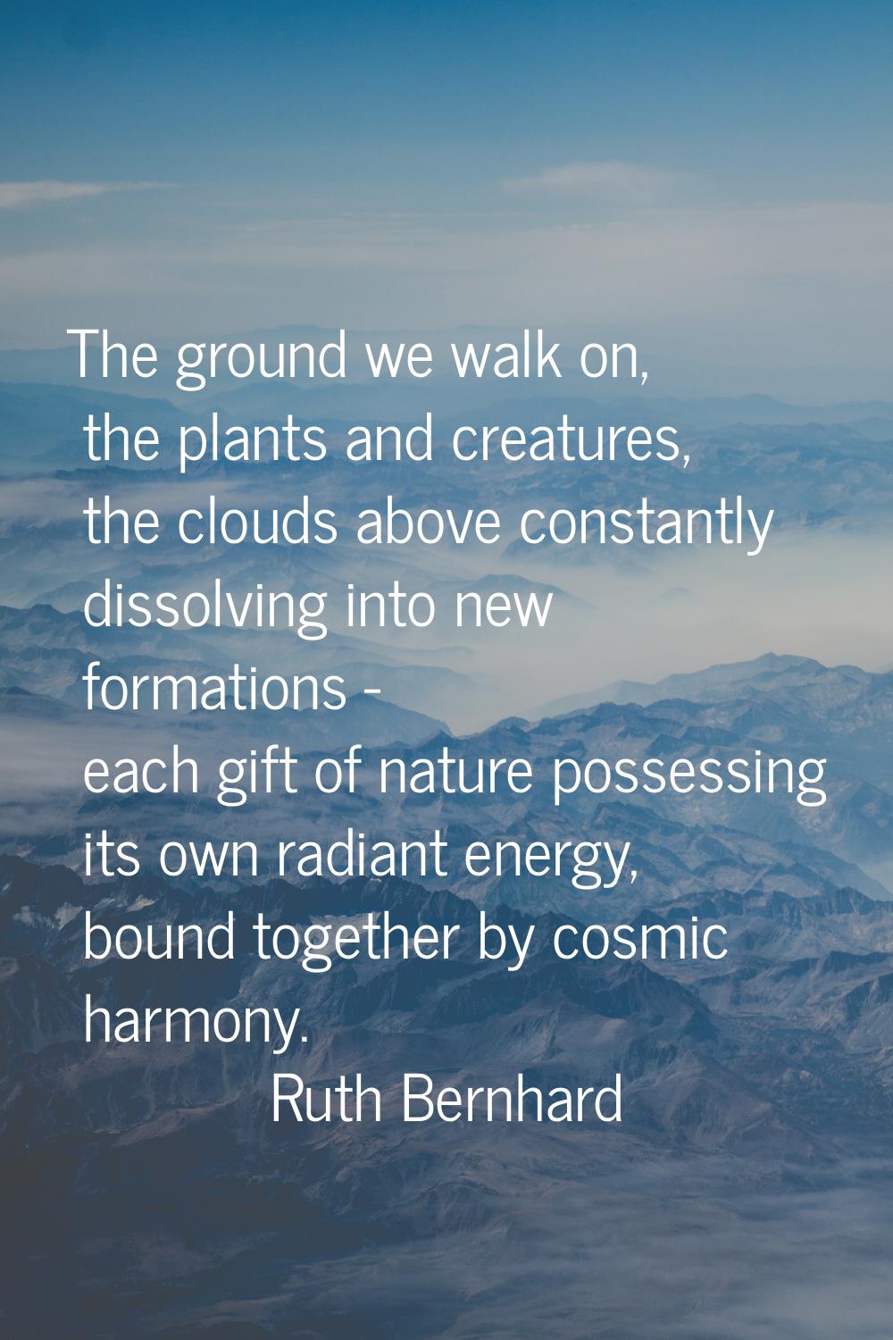 The ground we walk on, the plants and creatures, the clouds above constantly dissolving into new fo
