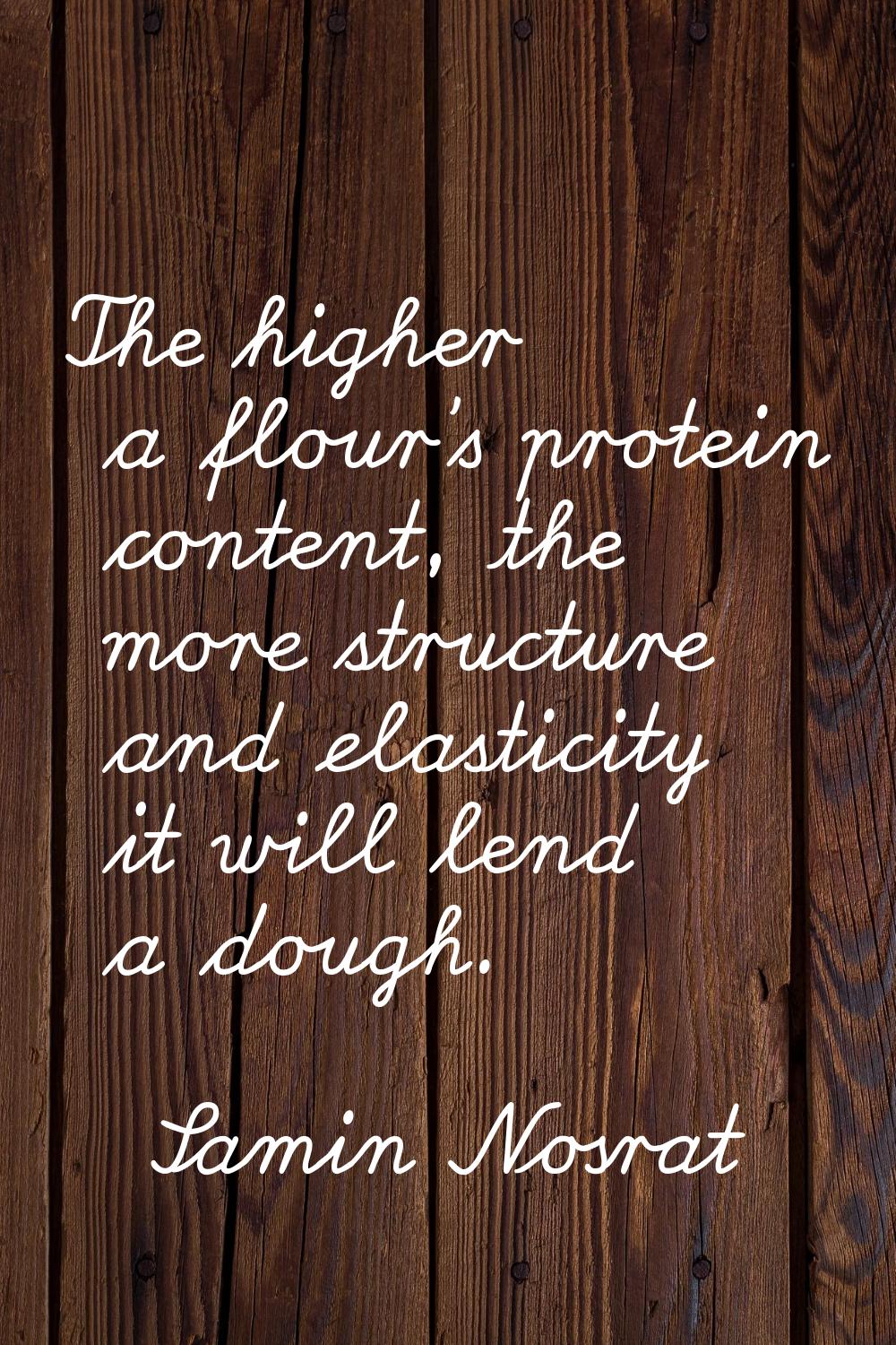 The higher a flour's protein content, the more structure and elasticity it will lend a dough.