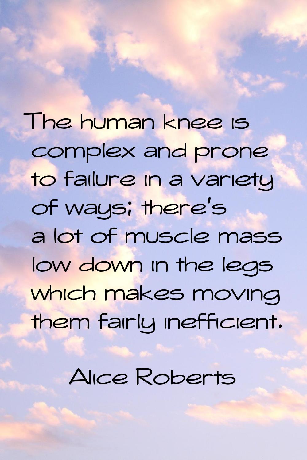 The human knee is complex and prone to failure in a variety of ways; there’s a lot of muscle mass l