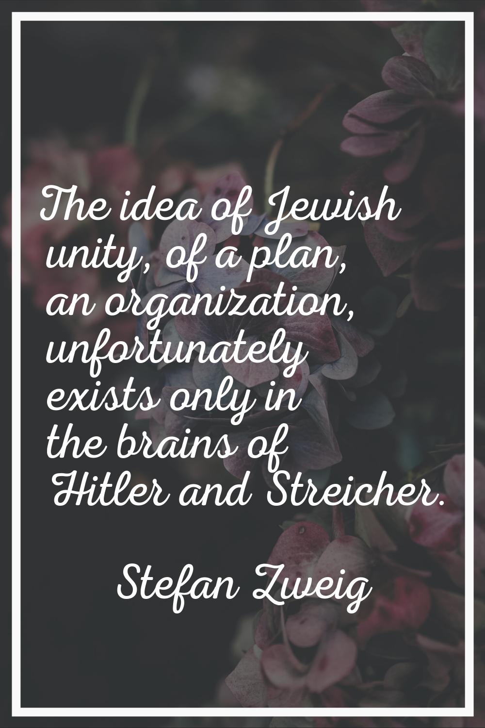 The idea of Jewish unity, of a plan, an organization, unfortunately exists only in the brains of Hi