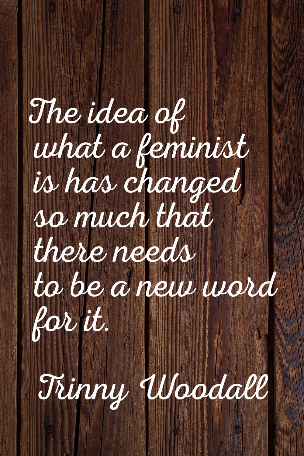The idea of what a feminist is has changed so much that there needs to be a new word for it.