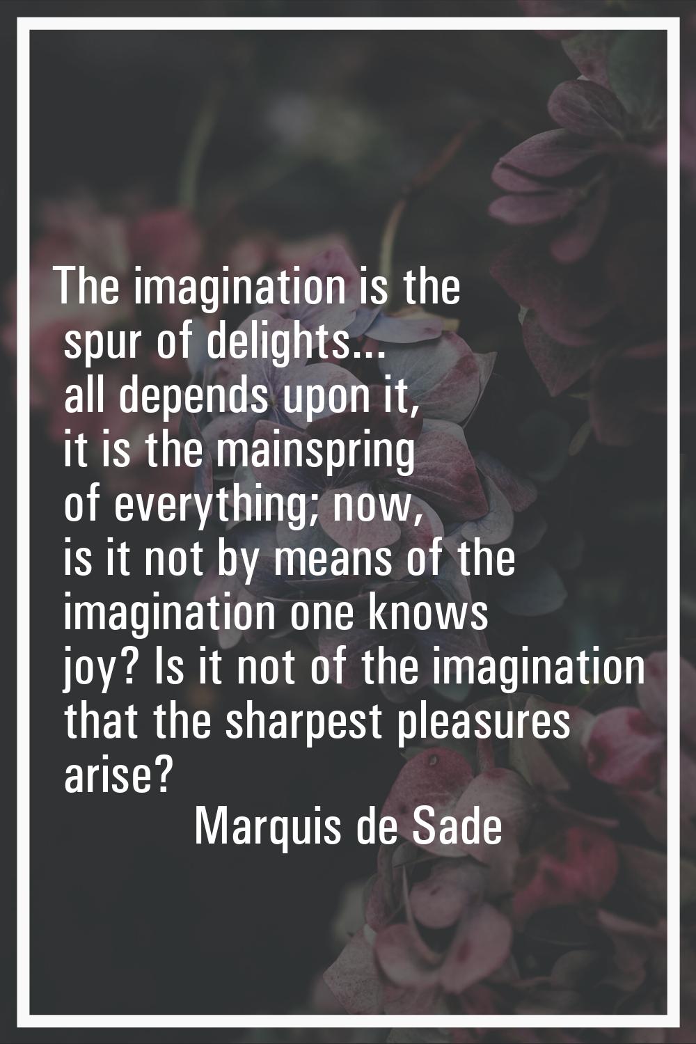 The imagination is the spur of delights... all depends upon it, it is the mainspring of everything;