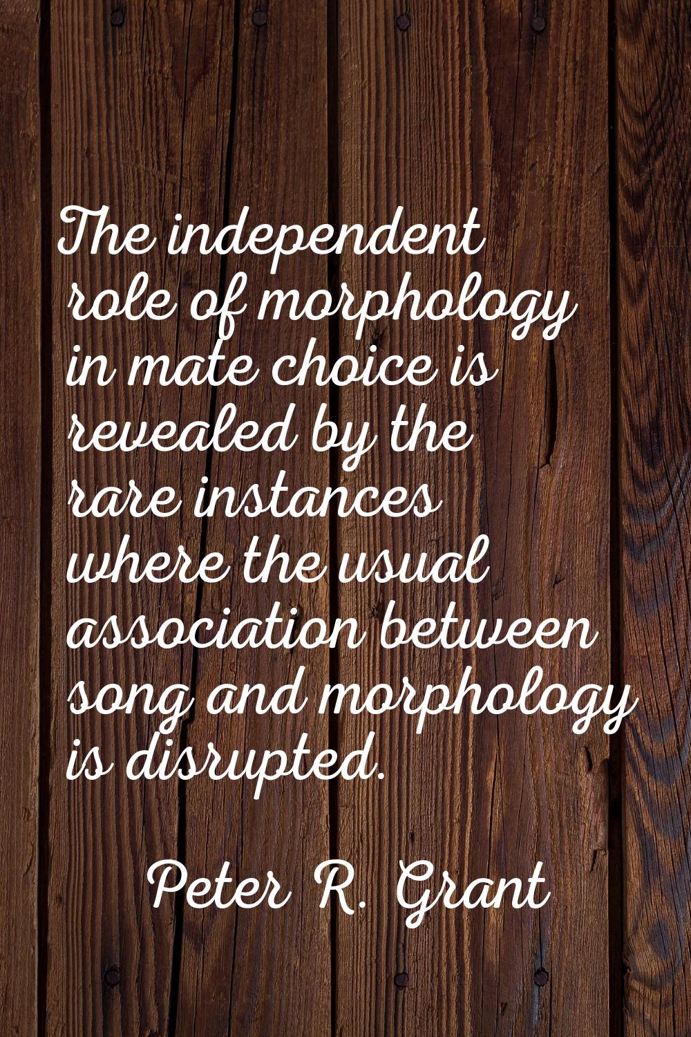 The independent role of morphology in mate choice is revealed by the rare instances where the usual