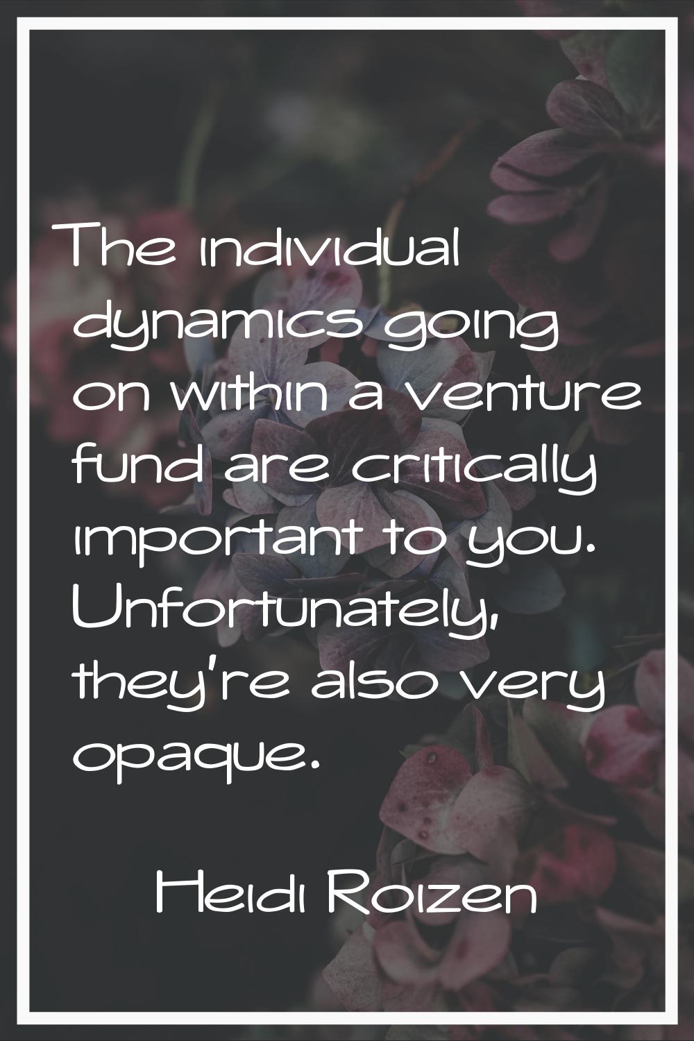 The individual dynamics going on within a venture fund are critically important to you. Unfortunate