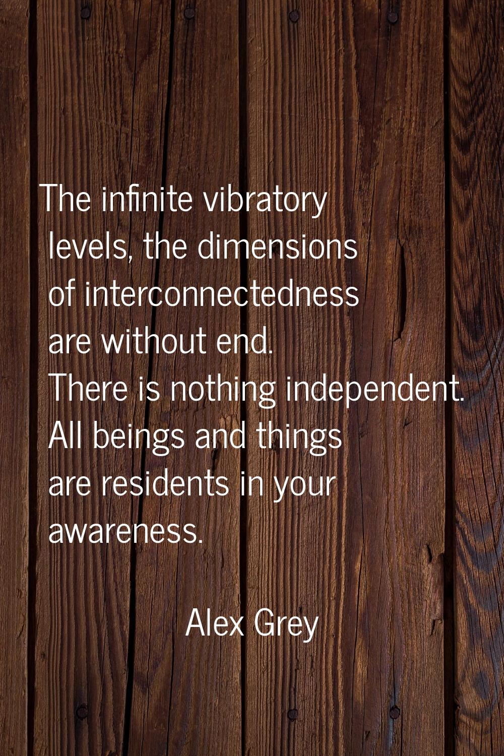 The infinite vibratory levels, the dimensions of interconnectedness are without end. There is nothi