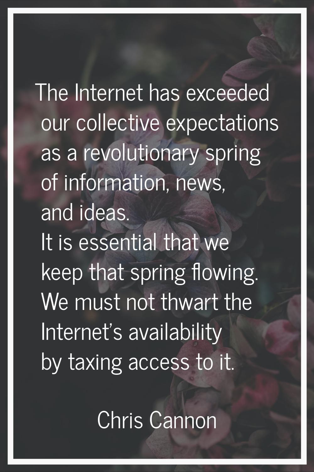 The Internet has exceeded our collective expectations as a revolutionary spring of information, new