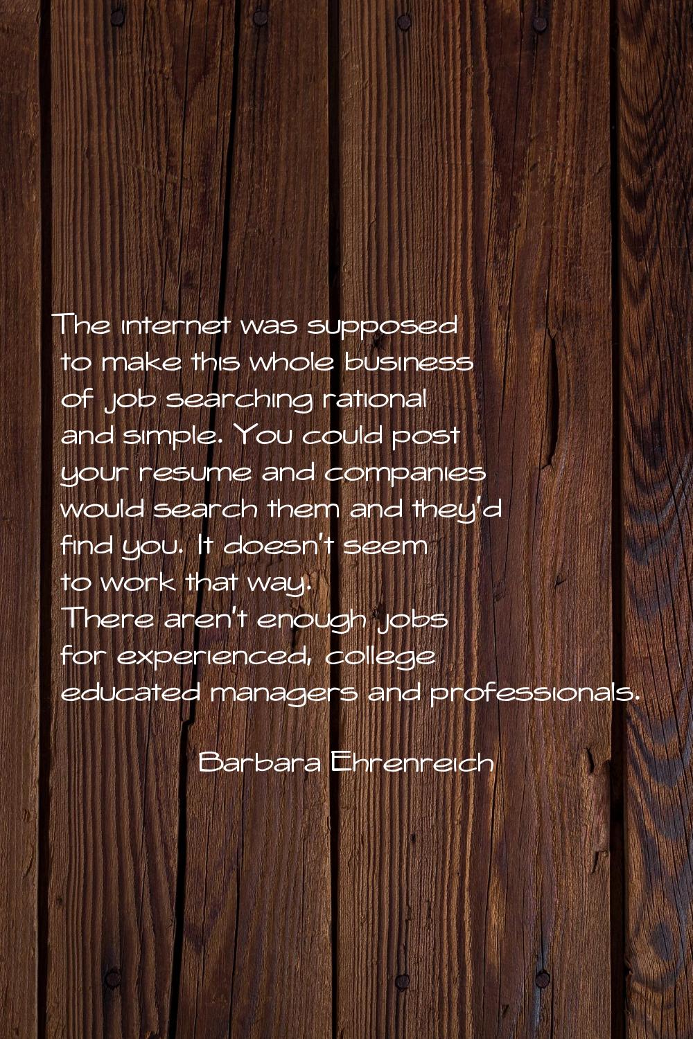 The internet was supposed to make this whole business of job searching rational and simple. You cou