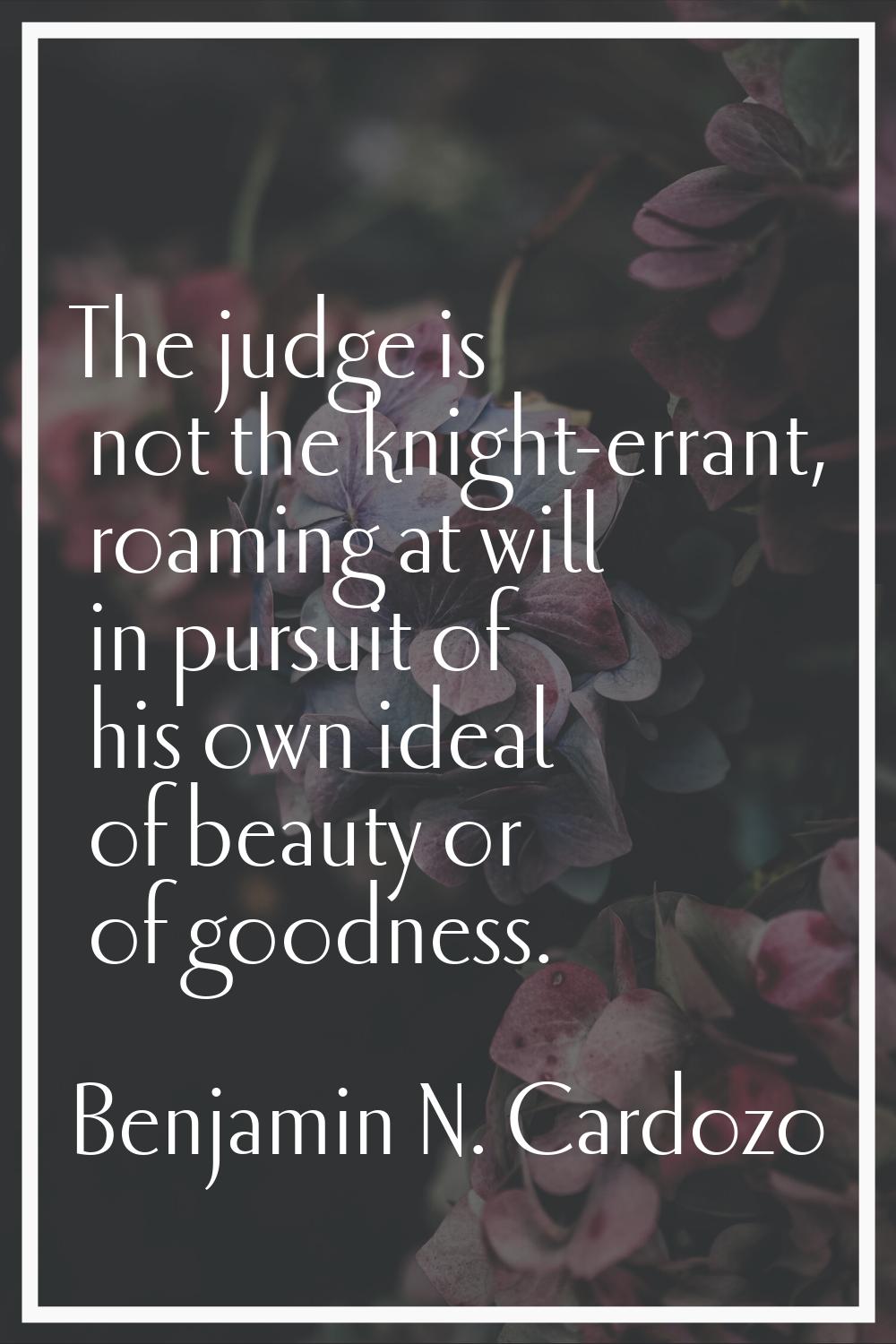 The judge is not the knight-errant, roaming at will in pursuit of his own ideal of beauty or of goo
